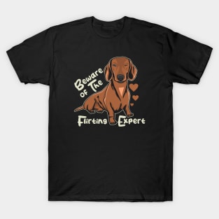 Funny Daschund Beware of The Flirting Expert T-Shirt